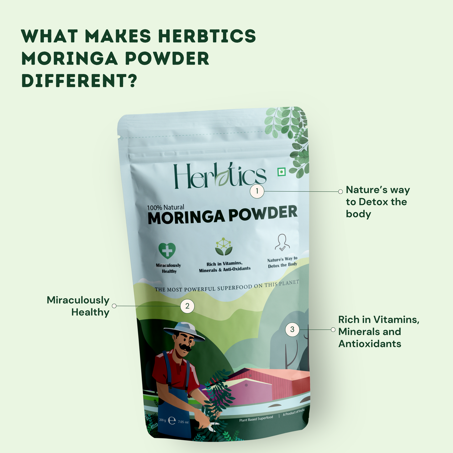 Moringa Powder